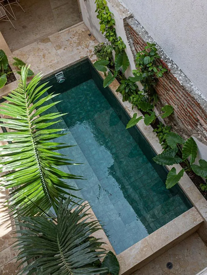 Soy Local Insignia Hotel Cartagena